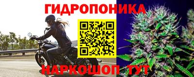 стаф Лесосибирск