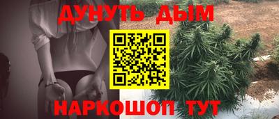 стаф Лесосибирск