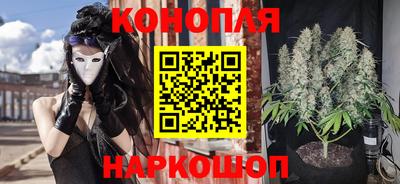 стаф Лесосибирск