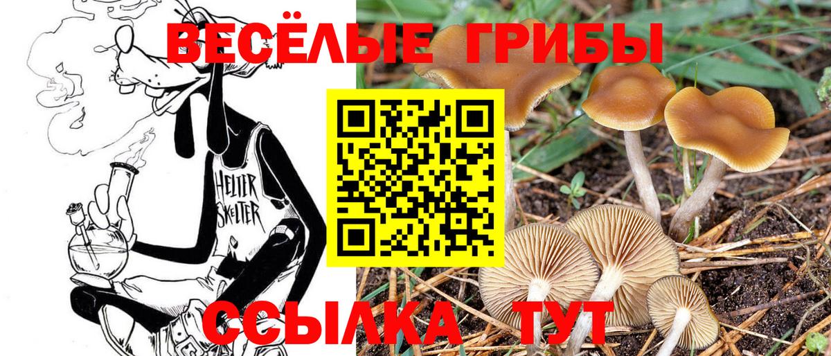 Псилоцибиновые грибы MAGIC MUSHROOMS Вышний Волочёк