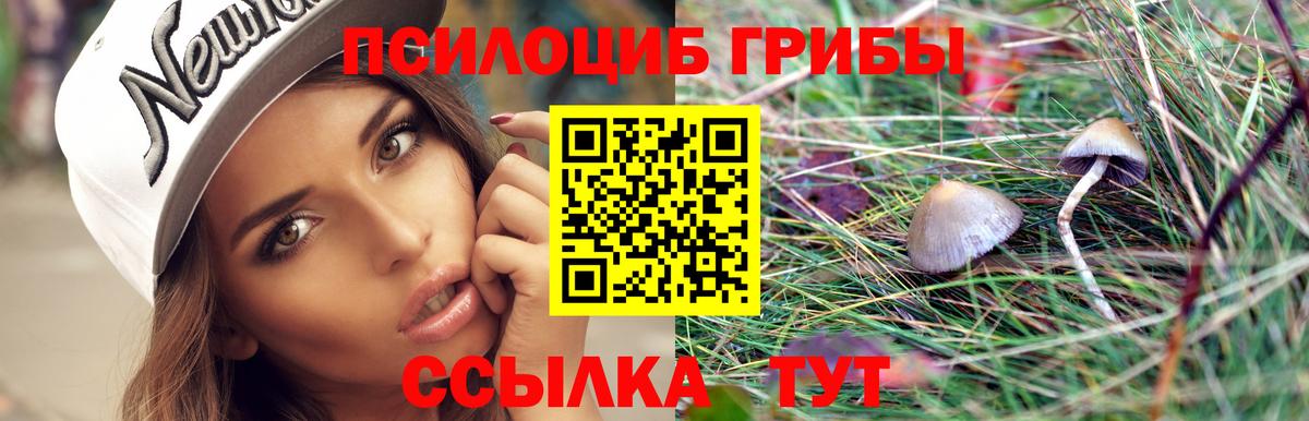 Вышний Волочёк  Псилоцибиновые грибы Psilocybe  Вход с VPN 
